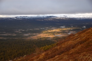 The view from Munsfjället in Jämtland.